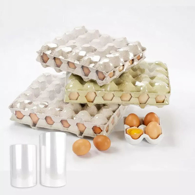 Cuộn giấy cuộn Polyolefin có thể co lại mạnh mẽ cho trứng